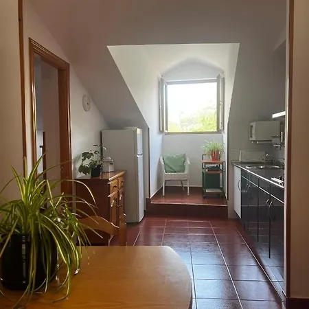 Apartament Camin De La Reina *